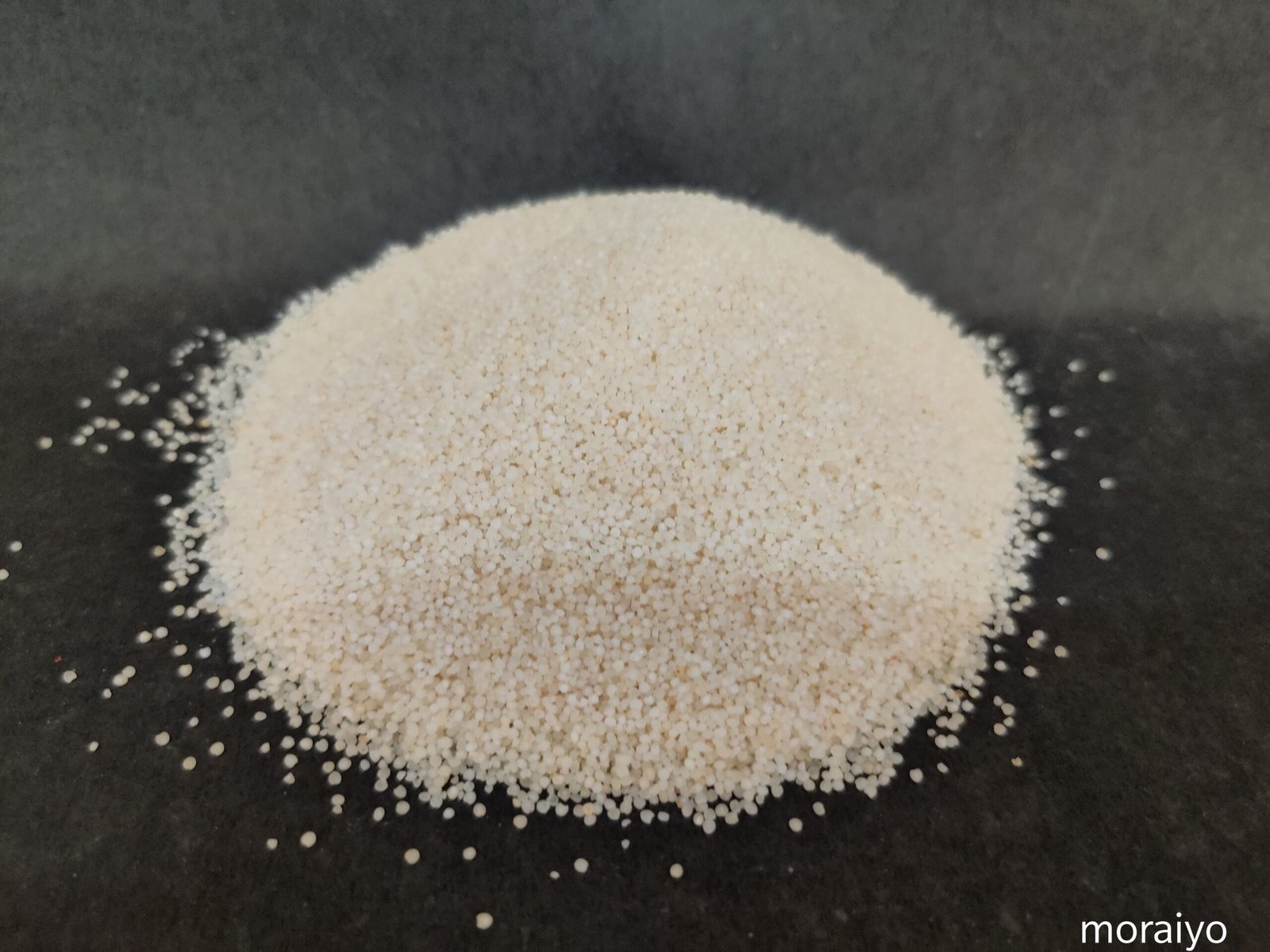 Bhagar (Moryo) - Image 2